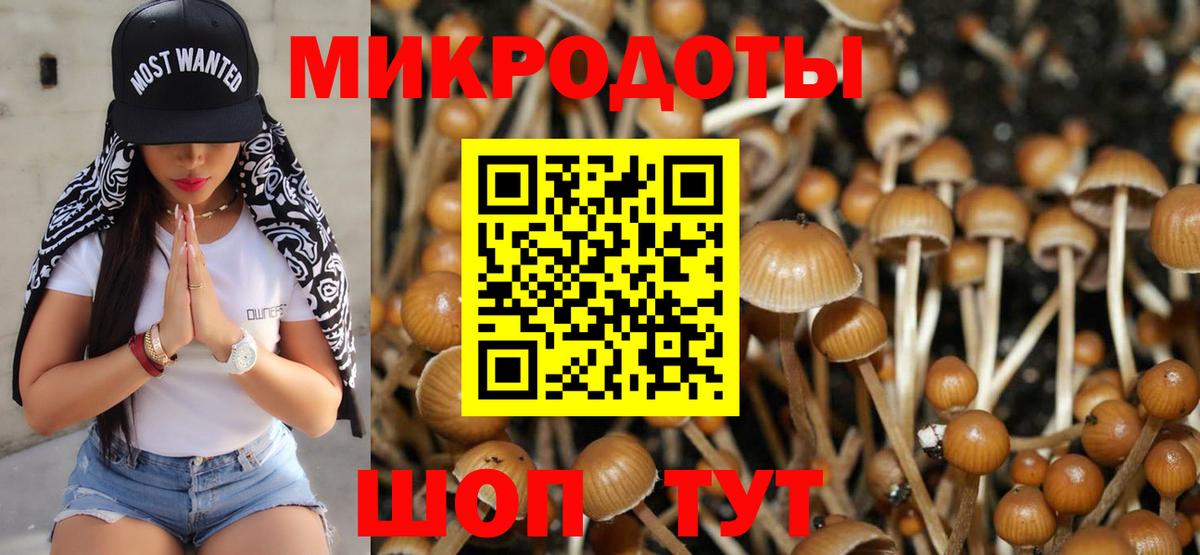 Псилоцибиновые грибы мухоморы  Вход с VPN  Ставрополь 