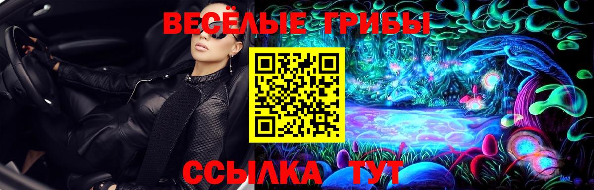 Псилоцибиновые грибы мухоморы Ставрополь
